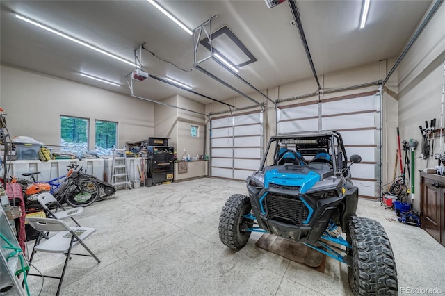 25735 County Road 295, Nathrop, CO 81236 - garage with a garage door opener