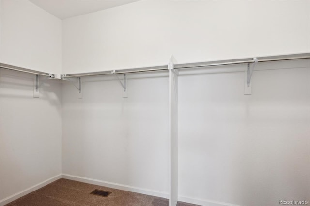10557 Eby Cir, Lone Tree, CO 80124 - walk in closet with carpet flooring