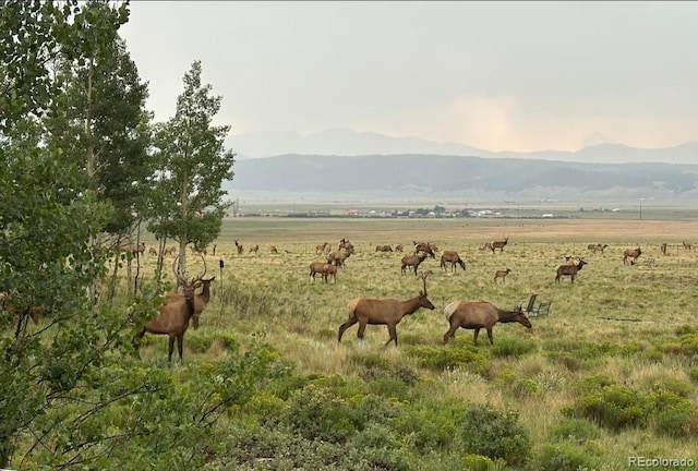 1793 Michigan Hill Rd, Jefferson, CO 80456 - photo 32