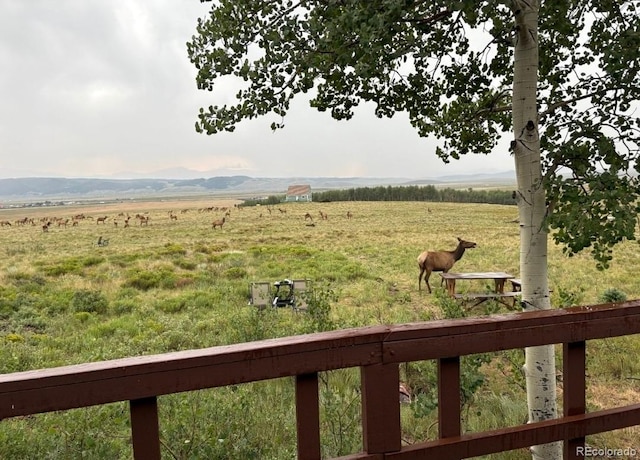 1793 Michigan Hill Rd, Jefferson, CO 80456 - photo 34