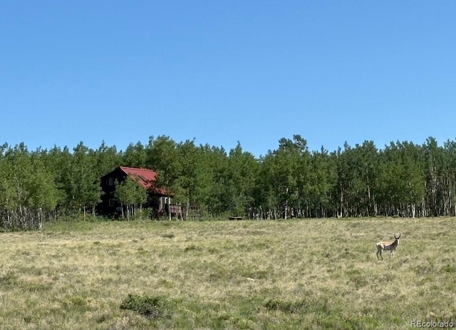 1793 Michigan Hill Rd, Jefferson, CO 80456 - photo 35
