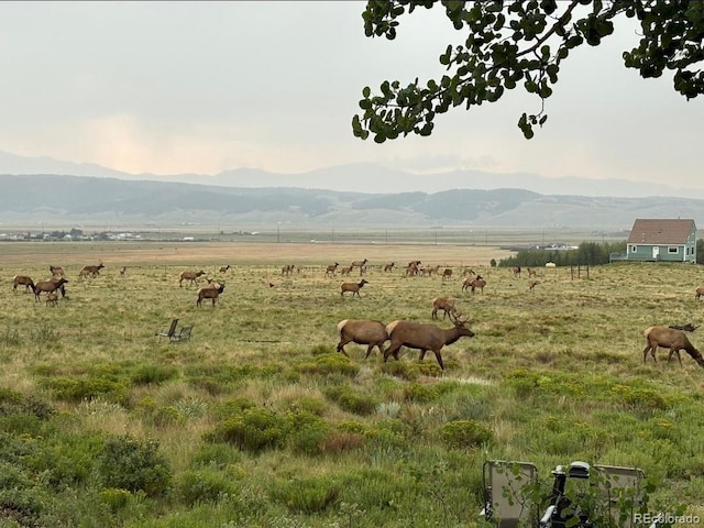 1793 Michigan Hill Rd, Jefferson, CO 80456 - photo 36