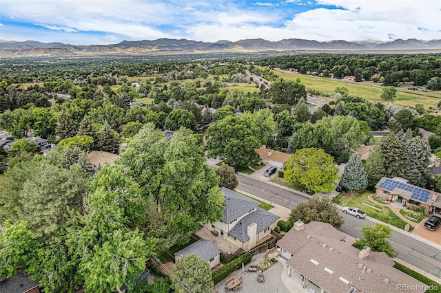 7126 Dudley Dr, Arvada, CO 80004 - photo 36