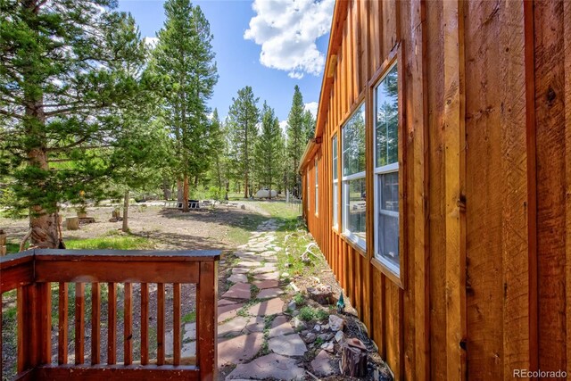 166 Ski Doo Rd, Fairplay, CO 80440 - view of yard