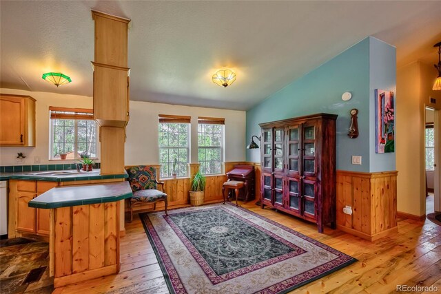 166 Ski Doo Rd, Fairplay, CO 80440 - sitting room with lofted ceiling, plenty of natural light, light wood-style flooring, a wainscoted wall, and wooden walls