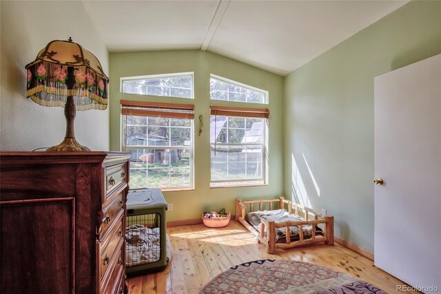 166 Ski Doo Rd, Fairplay, CO 80440 - sitting room with lofted ceiling, wood-type flooring, and baseboards