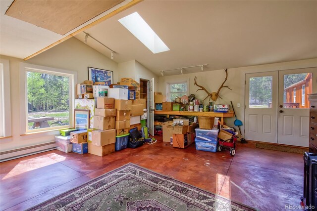 166 Ski Doo Rd, Fairplay, CO 80440 - storage room with a skylight