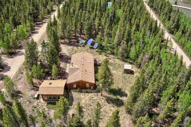 166 Ski Doo Rd, Fairplay, CO 80440 - view of subject property