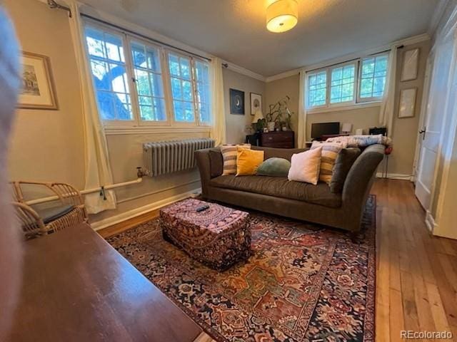 1024 E 14th Ave Unit 2, Denver, CO 80218 - living room featuring radiator, wood finished floors, baseboards, and crown molding
