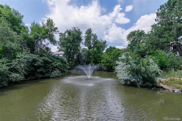 3550 S Harlan St Unit 214, Denver, CO 80235 - water view