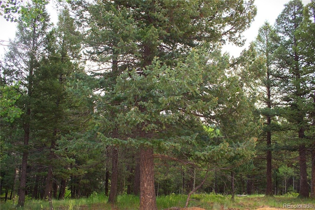 Ellis Lake, Ellis Lake, Divide, CO 80814 - photo 2