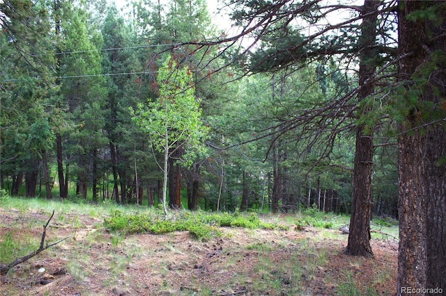 Ellis Lake, Ellis Lake, Divide, CO 80814 - photo 3
