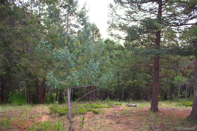 Ellis Lake, Ellis Lake, Divide, CO 80814 - photo 5