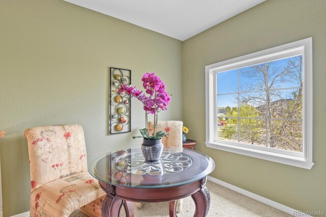 9536 W Avalon Dr, Littleton, CO 80127 - sitting room with baseboards and carpet floors