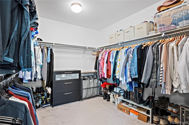 spacious closet featuring light colored carpet