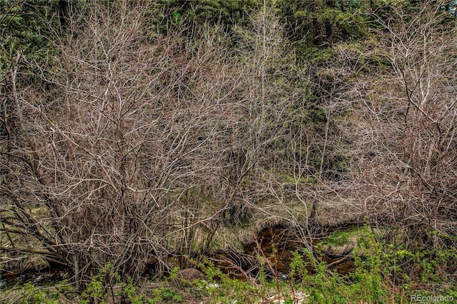 Beaver Crk, Black Hawk, CO 80422