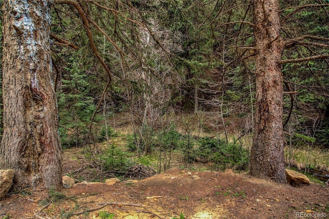 Beaver Crk, Black Hawk, CO 80422