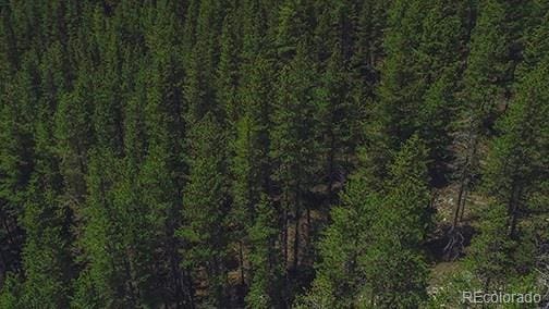 Beaver Crk, Black Hawk, CO 80422