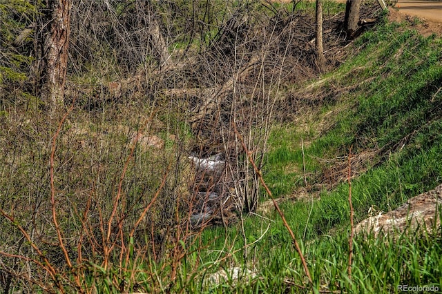 Beaver Crk, Black Hawk, CO 80422