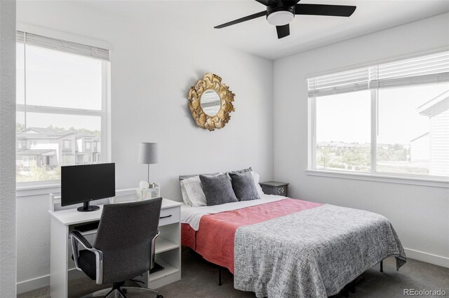 2023 S Upham Way, Denver, CO 80227 - photo 28