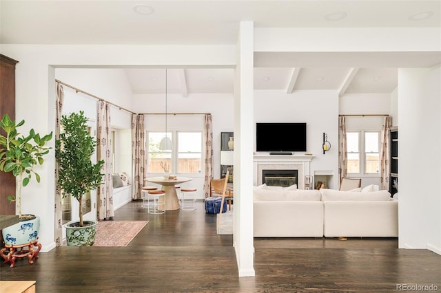 40 S Dexter St, Denver, CO 80246 - living area featuring healthy amount of natural light, wood finished floors, and a glass covered fireplace