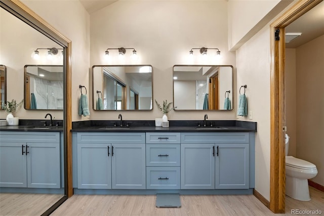 full bath featuring a sink, toilet, and wood finished floors