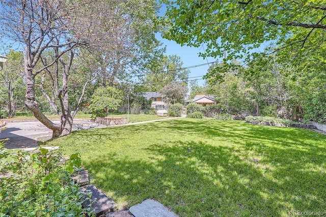4490 Balsam St, Wheat Ridge, CO 80033 - view of grassy yard featuring view of scattered trees