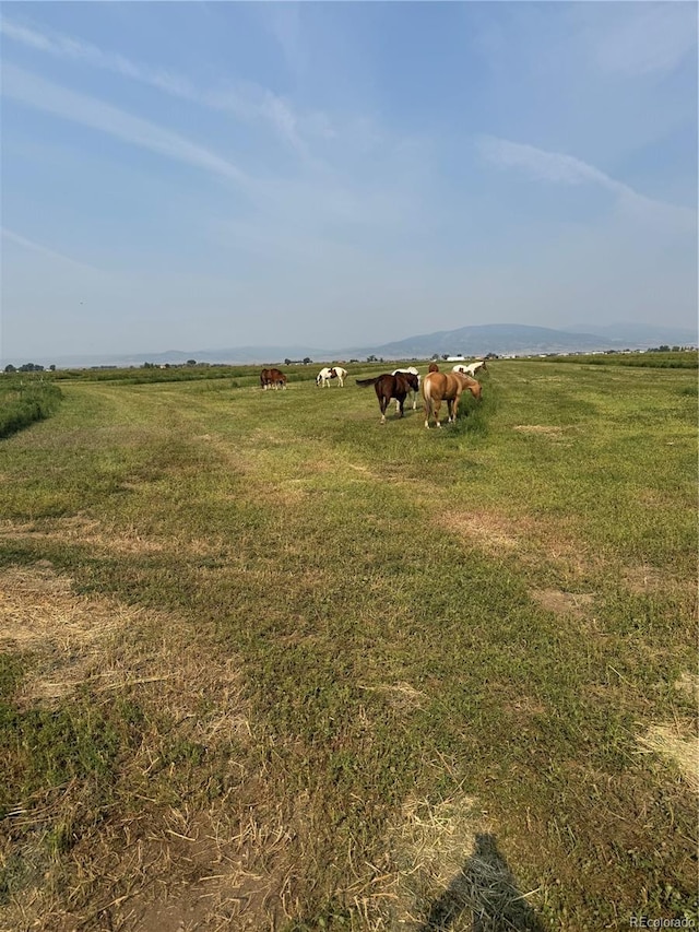 9439 County Road 101, Alamosa, CO 81101 - photo 41