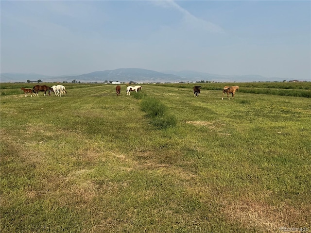 9439 County Road 101, Alamosa, CO 81101 - photo 1