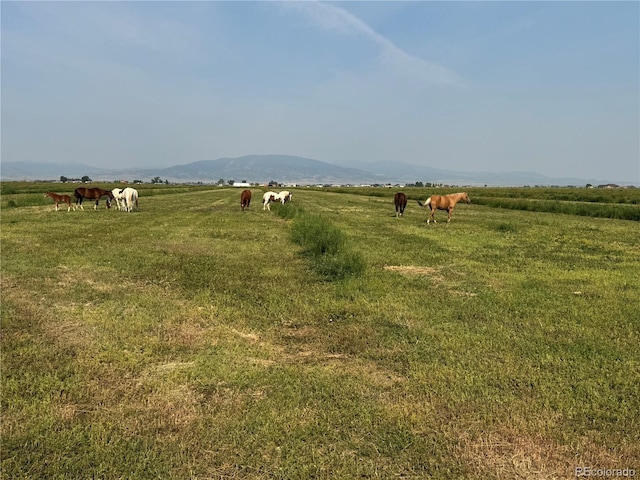 9439 County Road 101, Alamosa, CO 81101 - photo 3
