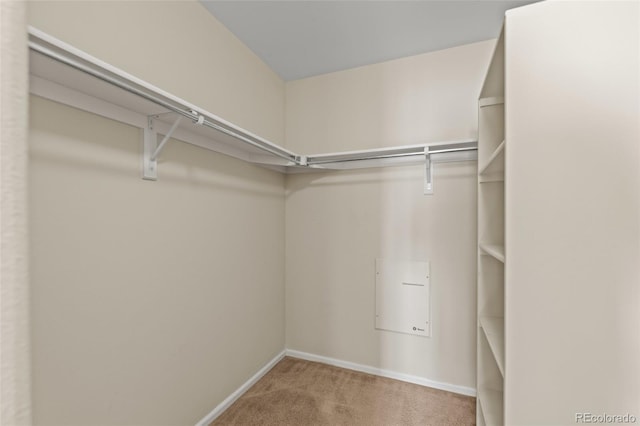 8399 Stonybridge Cir, Highlands Ranch, CO 80126 - spacious closet with carpet floors