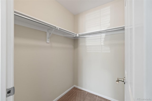 8399 Stonybridge Cir, Highlands Ranch, CO 80126 - walk in closet with carpet floors