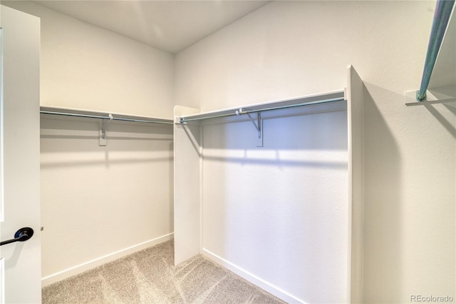 spacious closet with carpet