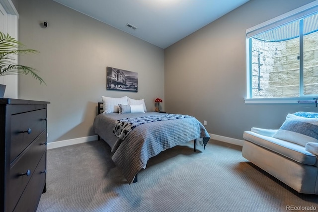 230 S Big Meadow Trl, Franktown, CO 80116 - carpeted bedroom with baseboards