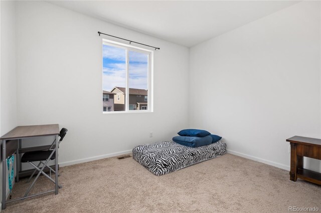 2443 Cottongrass Ave, Loveland, CO 80538 - photo 28
