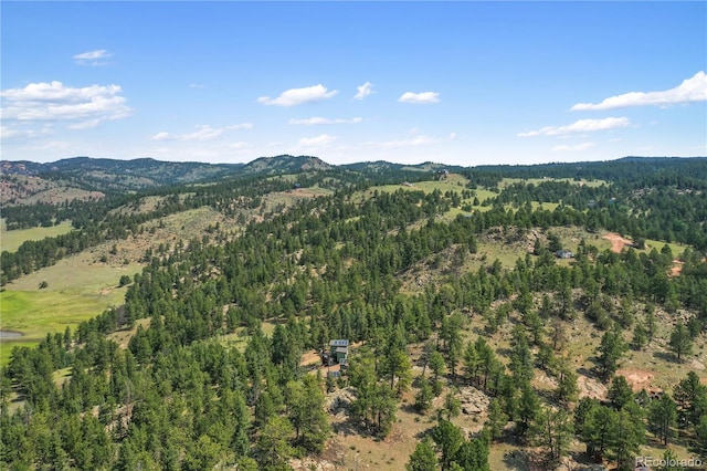 85 Terrace Ln, Florissant, CO 80816 - photo 8