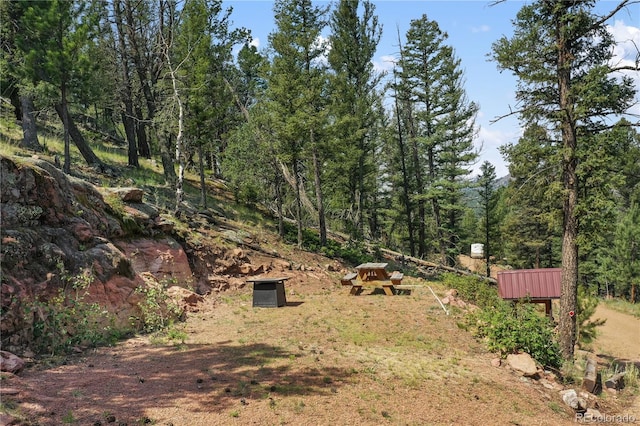 85 Terrace Ln, Florissant, CO 80816 - photo 9