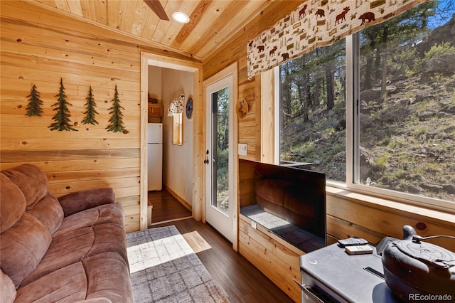 85 Terrace Ln, Florissant, CO 80816 - photo 10