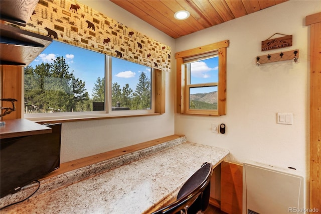 85 Terrace Ln, Florissant, CO 80816 - photo 15