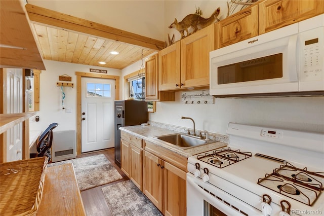 85 Terrace Ln, Florissant, CO 80816 - photo 18