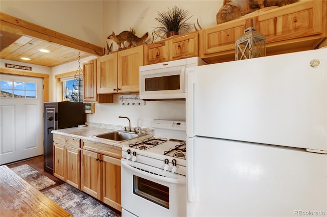 85 Terrace Ln, Florissant, CO 80816 - photo 19