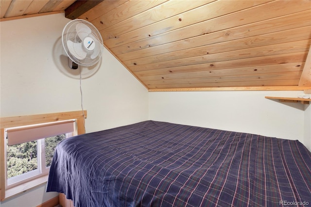 85 Terrace Ln, Florissant, CO 80816 - photo 24