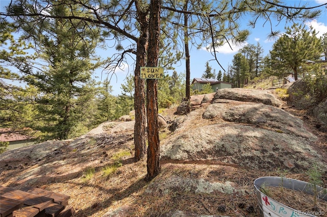 85 Terrace Ln, Florissant, CO 80816 - photo 33