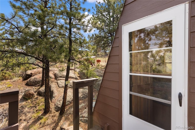 85 Terrace Ln, Florissant, CO 80816 - photo 35