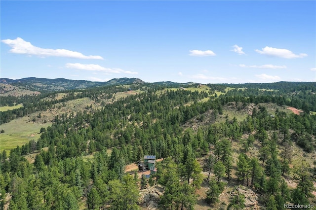 85 Terrace Ln, Florissant, CO 80816 - photo 42