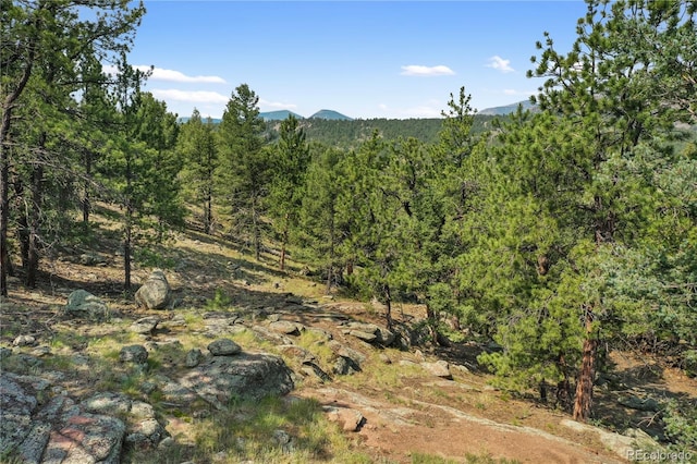 85 Terrace Ln, Florissant, CO 80816 - photo 43