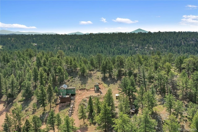 85 Terrace Ln, Florissant, CO 80816 - photo 44