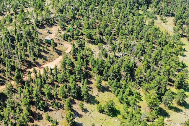 85 Terrace Ln, Florissant, CO 80816 - photo 45