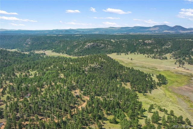 85 Terrace Ln, Florissant, CO 80816 - photo 46