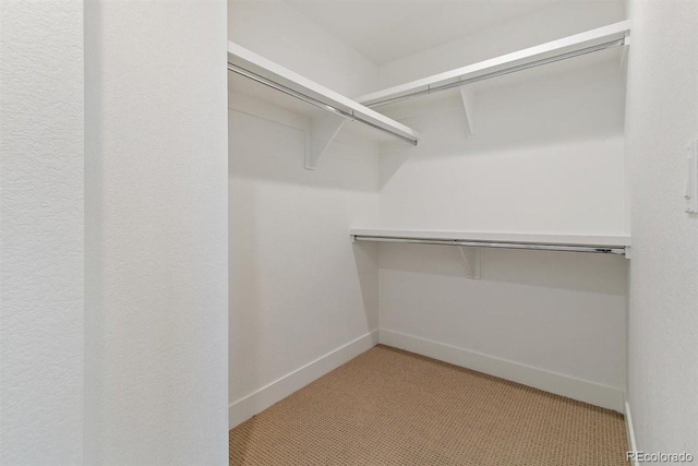 walk in closet featuring light carpet